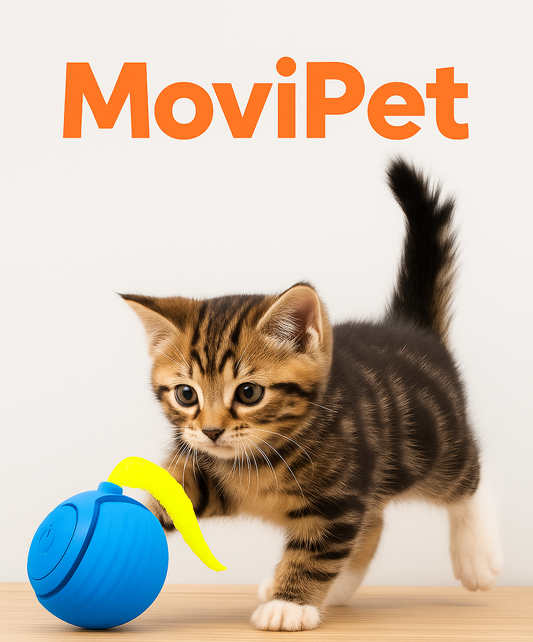 Pelota Gato/Perro Interactiva con Cola – Recargable USB